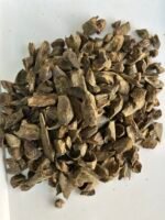 High-quality fragmented tree-nail-shaped pieces of agarwood