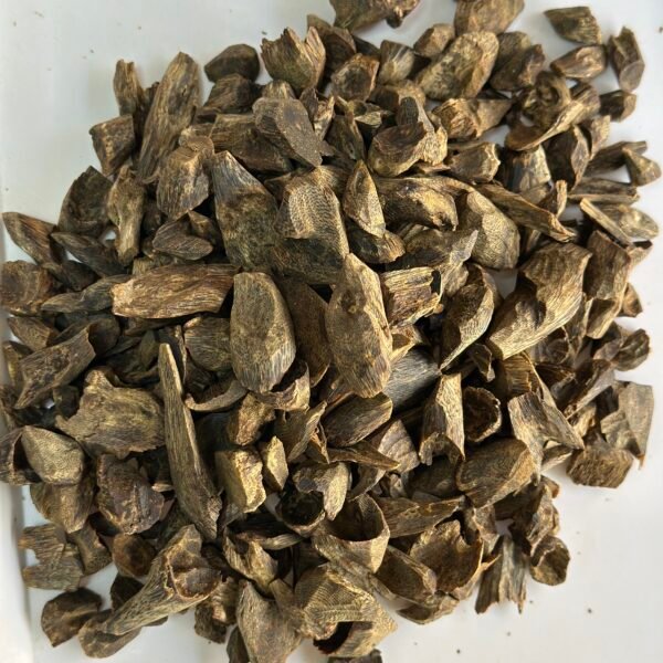 High-quality fragmented tree-nail-shaped pieces of agarwood