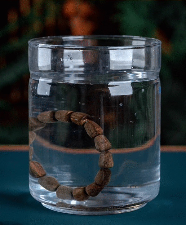 Agarwood Bead Bracelet Barrel Beads Collection