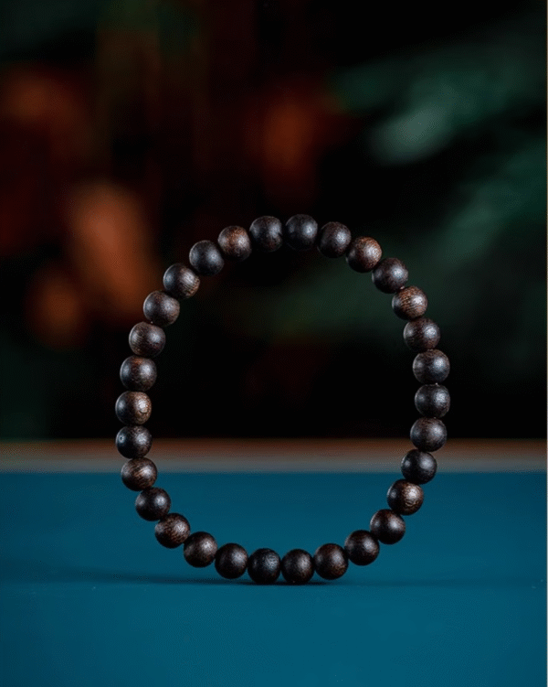 Qi Nan Agarwood Bracelet 6mm