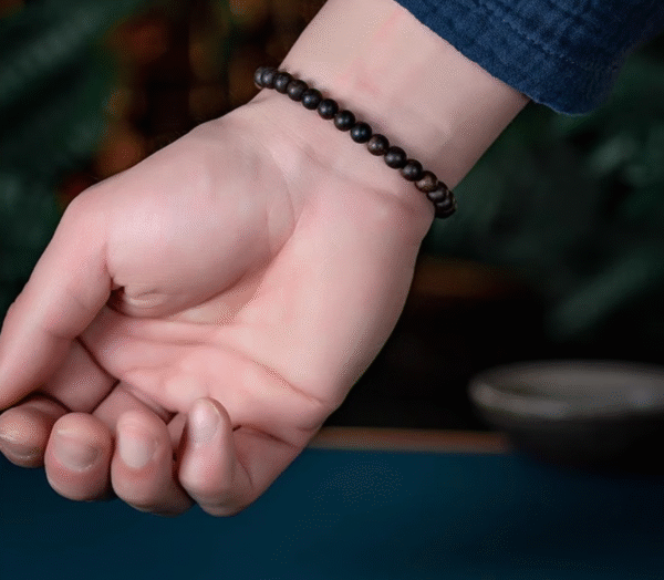 Qi Nan Agarwood Bracelet 6mm