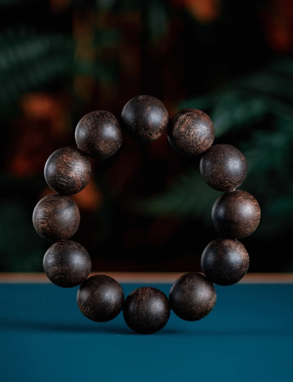 Qi Nan Agarwood Bracelet 20mm