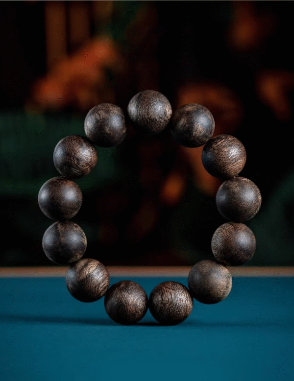 Qi Nan Agarwood Bracelet 19mm