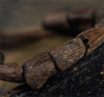 Follow the wrist, an agarwood Buddhist bead bracelet.