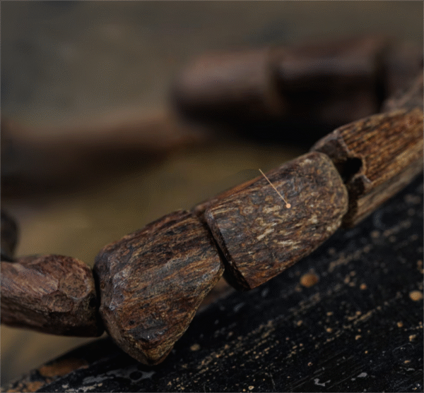 Follow the wrist, an agarwood Buddhist bead bracelet.