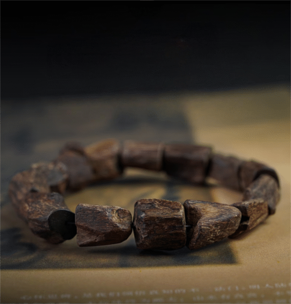 Follow the wrist, an agarwood Buddhist bead bracelet.