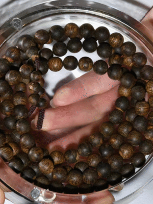 108-bead agarwood prayer bracelet