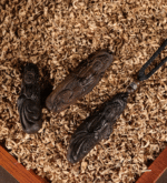 Old material Qian Nan Chen Xiang pendant